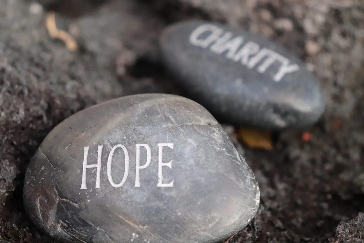 stone, charity, rock, hope, gray rock, gray stone, charity, charity, charity, charity, charity. How to fact-check a UK arts institution's annual report using the Charity Commission and OSCR