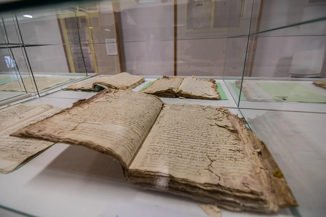 book, archive, study, library, old books, data, culture, memory, ancient, vintage, used books, paper, read, archive, archive, archive, archive, archive. Arts institution fact-check checklist for grants