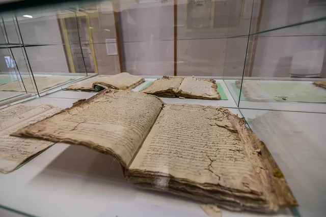 book, archive, study, library, old books, data, culture, memory, ancient, vintage, used books, paper, read, archive, archive, archive, archive, archive. Arts institution fact-check checklist for grants