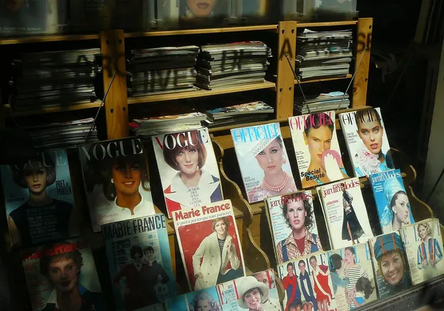 magazine, journal, magazines, notebooks, journalism, press, fashion, fashion magazine, fashion booklet, women, woman, face, portrait, human, old newspaper, newspaper, read, literat. Arts reporting and criticism prepublication checklist