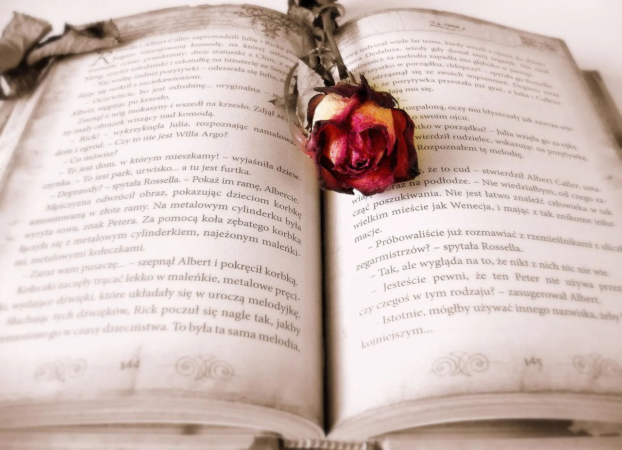 book, rose, rose flower, book mark, open book, pages, chapter, novel, read, literature, reading, bookworm. Common literary coverage problems and practical fixes