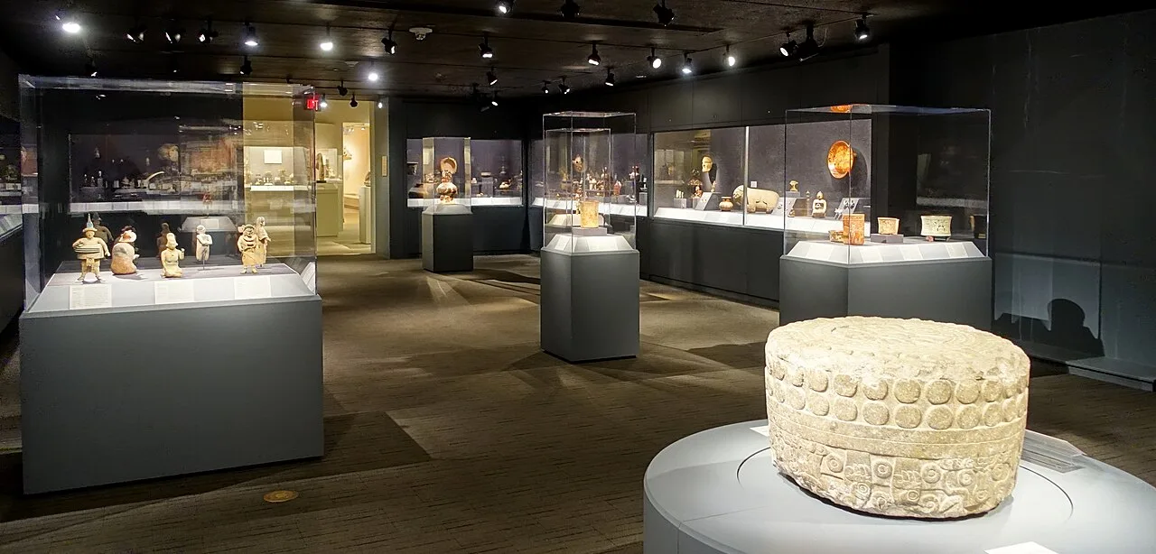 A museum gallery with display cases, object labels, track lighting, and a clear central route